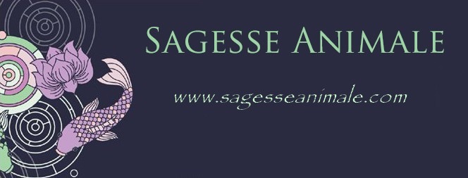 Sagesse Animale